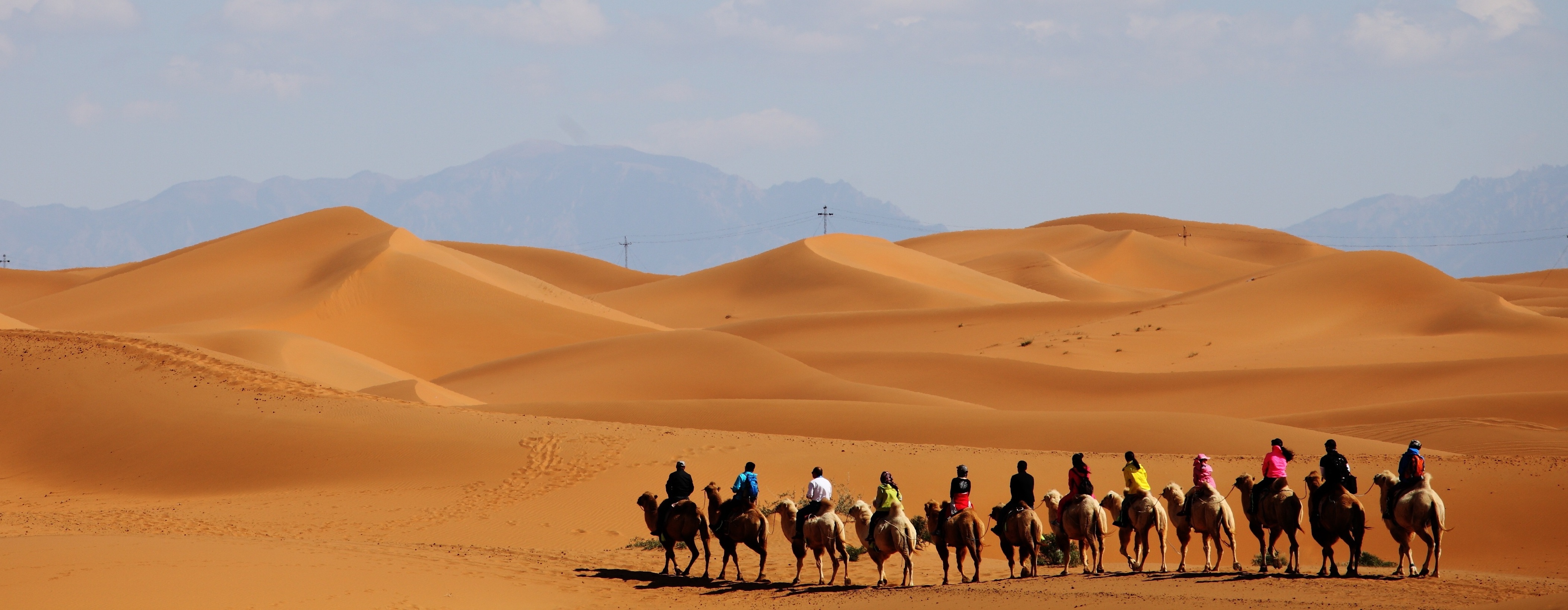 Excursion Désert Djerba
